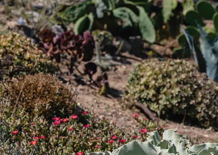 Margarita House Dom wakacyjny Mykonos Town