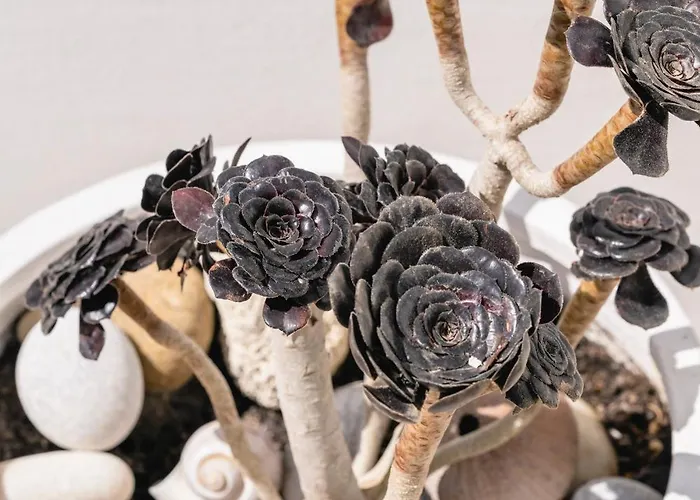 Dom wakacyjny Margarita House Mykonos Town